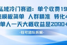 私域冷门高转化赚钱项目拆解 198元客单价单人即可操作获高收益