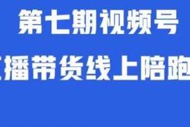 视频号直播带货第七期陪跑营：算法解析起号逻辑及实操运营教学
