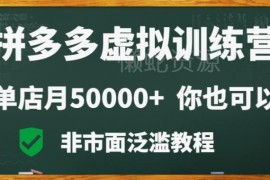 拼多多虚拟电商实操玩法 零基础做副业可稳定月入3万+