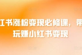 小红书涨粉变现系统教程 起号运营到盈利全流程教学