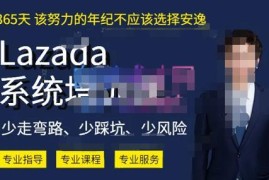 2023熊猫老师Lazada系统课 跨境本土店全链路运营实操指南