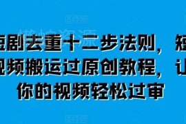 短剧剪辑十二步去重法则 短视频搬运过审过原创实用教程