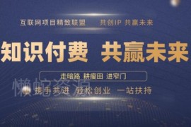 2025年做知识付费卖项目年入百万 全流程实操方法揭秘