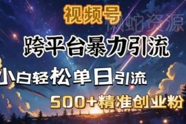 跨平台引流创业粉实操教程 搭建私域闭环日引500+精准粉