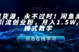 闲鱼卖虚拟网课引流创业粉 月入1.5W全流程保姆级操作教程