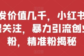 小红书无限关注批量引流精准创业粉工具操作及抗封指南