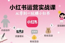 从零到一学小红书运营实战课 掌握开店选品带货全流程