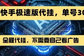 2024年7月最新快手极速版代挂玩法 无需看广告单号日入30+