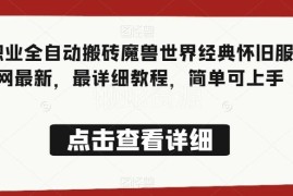 魔兽世界经典怀旧服法师全自动搬砖教程 零基础小白可轻松上手
