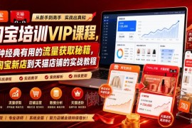 幕思城淘宝天猫运营VIP课程 新店到爆款流量获取全流程实战教程
