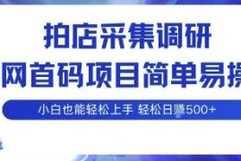 拍店采集调研首码项目操作指南 小白零门槛上手可多号增收
