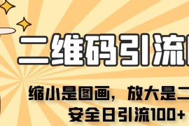 缩小显图放大显码隐形引流图 适配微信抖音单日可引流100+