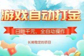 魔兽世界欧服美服全自动打金搬砖 稳定收益副业项目详解