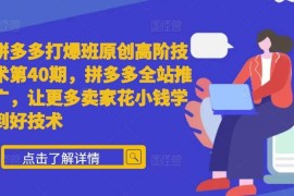 拼多多第40期高阶运营教程 全站推广实操玩法全解析