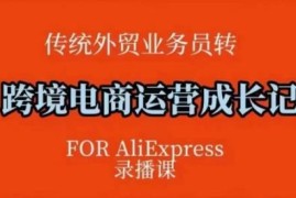 速卖通系统运营教程 跨境电商方法论与后台实操全解析