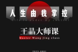 王晶短视频IP打造教程 素人进阶实现流量与商业价值双丰收