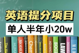 2024正规英语提分实操项目 单人运营半年可获利近20万元