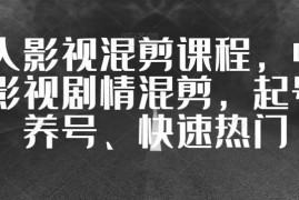 中视频影视混剪实操课程 含起号养号上热门技巧及变现方法
