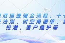 外贸底层逻辑全流程教程 含十七步成交逼单客户维护技巧