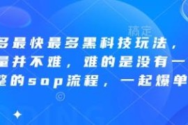 拼多多全链路运营SOP流程 从0到1起量爆单实用技巧汇总