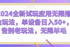 2024试玩应用无限撸金新玩法 单设备日入50+双向收益攻略