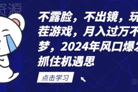 2024年不露脸不出镜找茬游戏赚钱项目 新手低门槛实操教程
