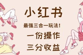 小红书多多视频三合一变现玩法解析 单份操作可获三份收益