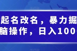 婴儿起名改名低门槛副业实操教程 新手轻松实现日均千元收益