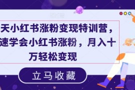 19天小红书涨粉变现特训营 从起号到变现全流程实操教学