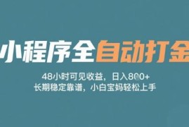 微信小程序全自动打金副业教程 零门槛上手长期稳获被动收益
