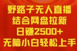 无人直播结合网盘拉新实操玩法 小白易上手低门槛副业教程