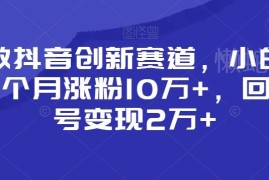 2024抖音小众创新赛道玩法 小白涨粉变现全流程教程