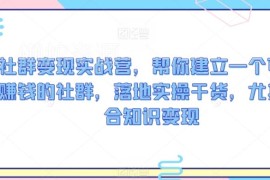 社群变现实战营实操教程 从0到1搭建可盈利知识变现社群