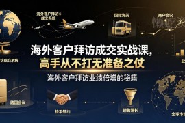 海外客户拜访成交实战课 外贸获客全流程实操技巧教学