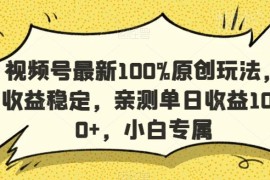 视频号原创高收益实操玩法 小白可上手稳定单日收益超千元