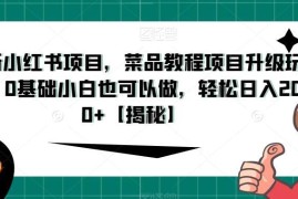 小红书菜品教程项目升级玩法 0基础小白可做的低门槛副业实操攻略