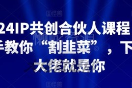 2024IP共创合伙人系统课程 含公私域流量运营全套学习资料