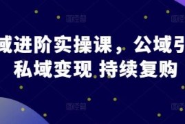 私域运营进阶实操课 公域引流到私域变现复购全流程教学