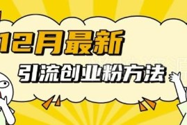2024年12月最新多平台引流创业粉方法 易上手可批量操作规避风控