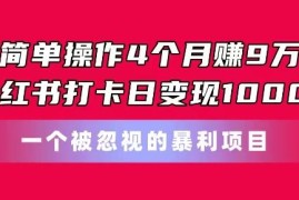 小红书打卡变现项目实操教程 4个月赚9万单日入千玩法解析