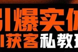 实体AI模板引流私教班详解 从0到1掌握实体短视频获客全流程