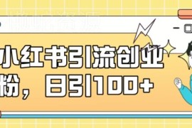 小红书引流创业粉实操方法 小白易上手可矩阵操作日引100+