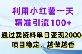 小红书点对点精准引流卖项目玩法 稳定可做单日变现实操教程