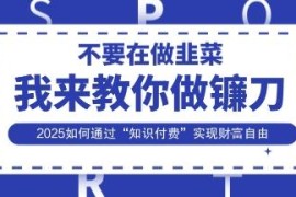 2025知识付费赚钱实操全教程 解析互联网盈利底层逻辑与方法