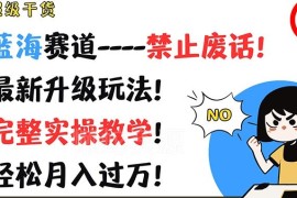 2024禁止废话短视频实操教程 蓝海赛道运营变现全流程教学
