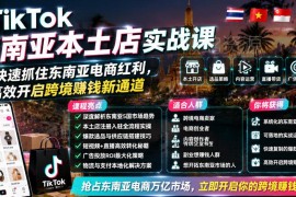 TikTok东南亚本土店实战课 跨境电商从入驻到变现全流程教学