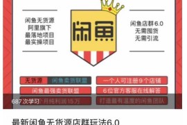 闲鱼无货源店群6.0玩法教程 零囤货零引流盈利实操指南