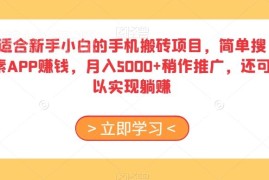 适合新手小白的手机搬砖项目 搜索APP赚钱及推广躺赚实操教程