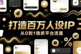 从0到1打造百万级人设IP 全流程掌握平台流量运营技巧