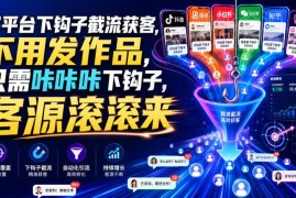 多平台钩子截流获客实操教程 无需发作品即可精准引流获客